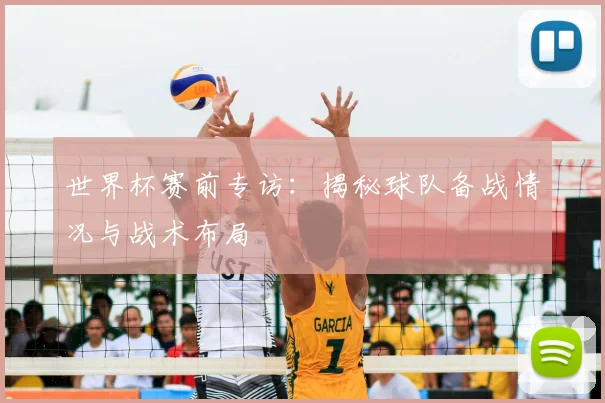 世界杯赛前专访：揭秘球队备战情况与战术布局