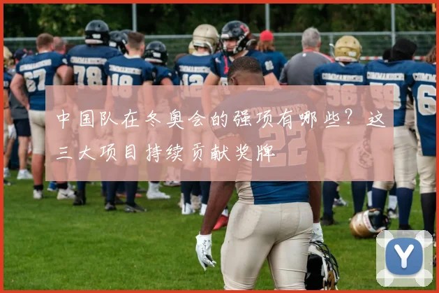 中国队在冬奥会的强项有哪些？这三大项目持续贡献奖牌