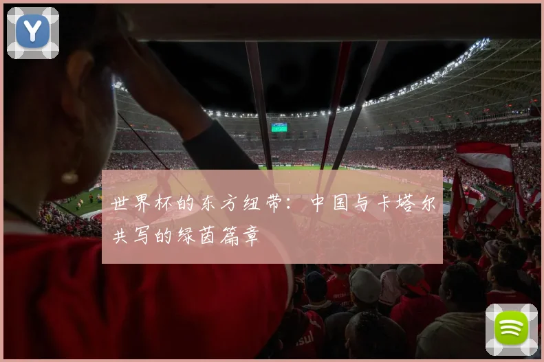 世界杯的东方纽带：中国与卡塔尔共写的绿茵篇章