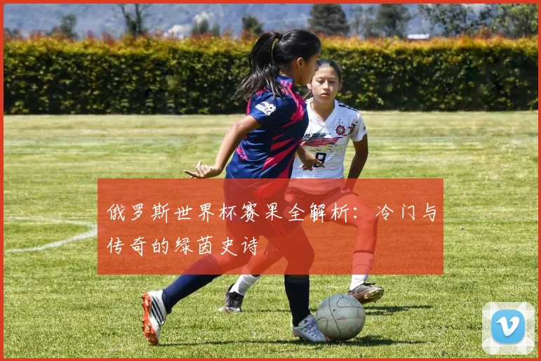 俄罗斯世界杯赛果全解析：冷门与传奇的绿茵史诗